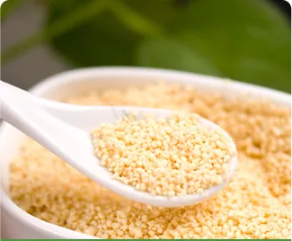 Lecithin Granules